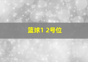 篮球1 2号位